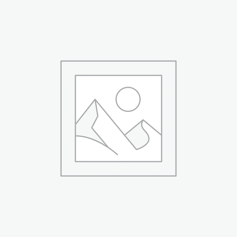 Camera giám sát FPT IQ – Cảnh báo Thông minh